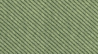 Vassoio Conico Linea Verde con Foro