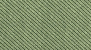 Vassoio Conico Linea Verde con Foro